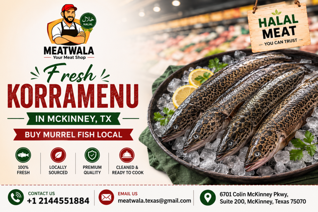 Fresh Korramenu in McKinney